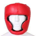Head Guard