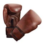 Fashion Boxing Gloves